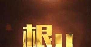 微电影《根儿》