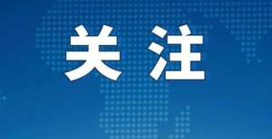 厉害了！斩获国际奖项！