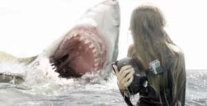 六全球票房的鲨鱼电影：《深海狂鲨》第五，《白鲨》第二